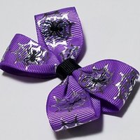 3" Spider 