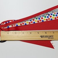 Rainbow Polka Dot 