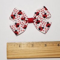 3" Ladybug 