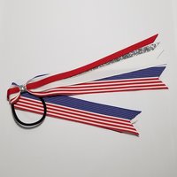American Flag 