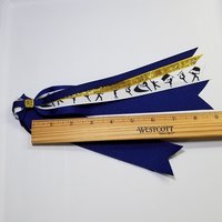 Color Guard Guardies