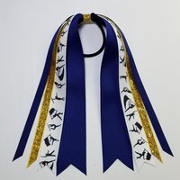Color Guard Guardies