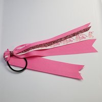 Ballerina Glitter Ponytail Streamer *You Choose Solid Ribbon Color- Glitter Color & Length*