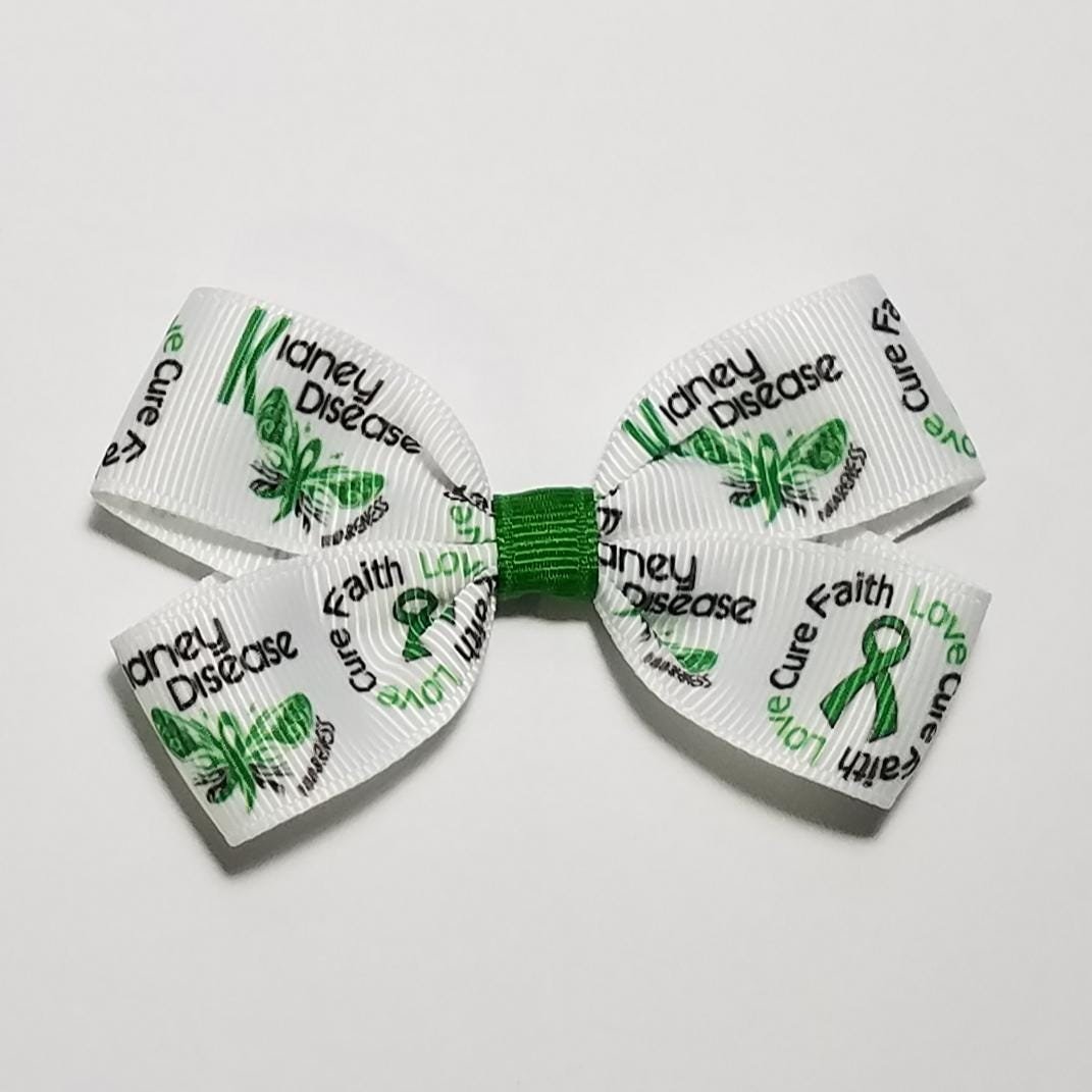 3" Kidney Disease 